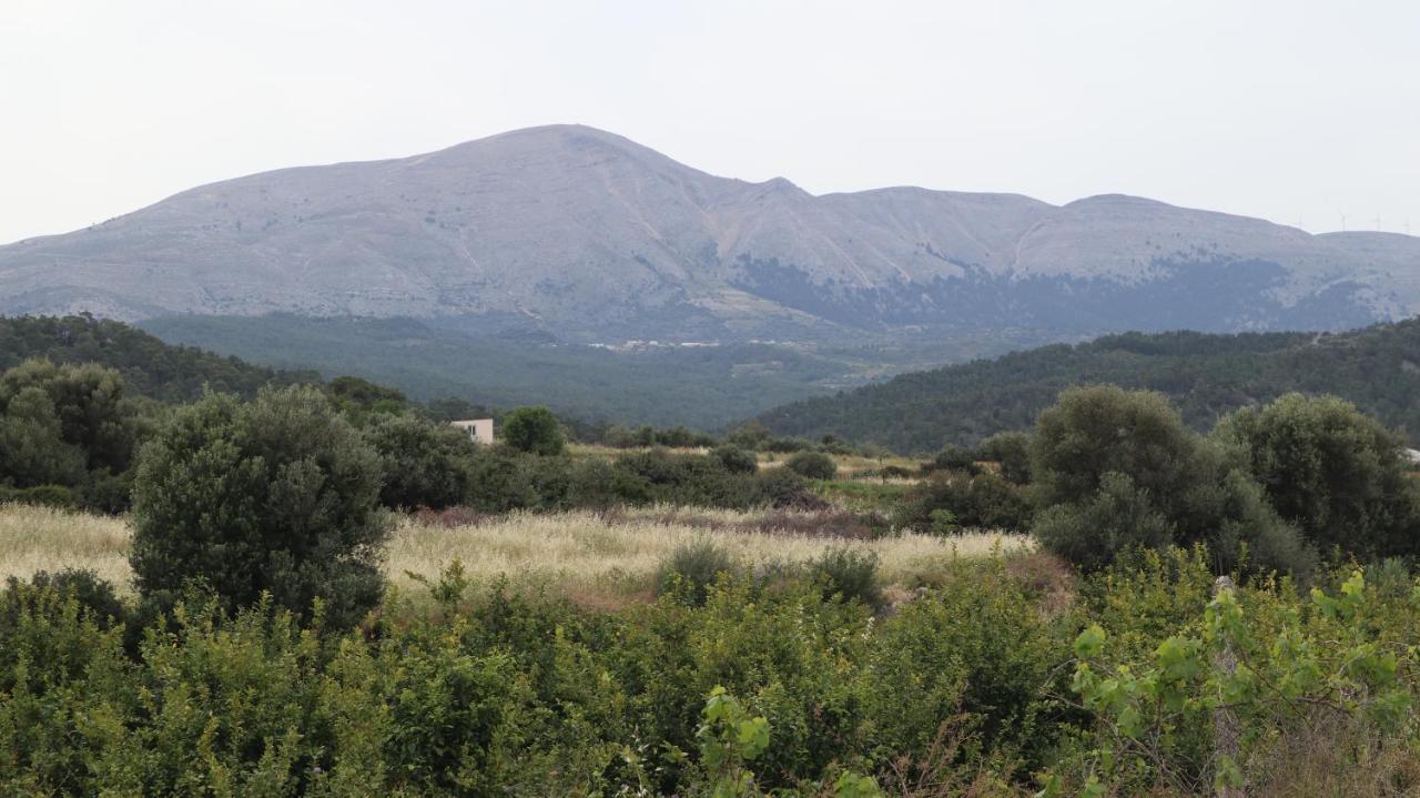 Echo Traditional House - Ηχώ Παραδοσιακό Σπίτι Émbonas 외부 사진